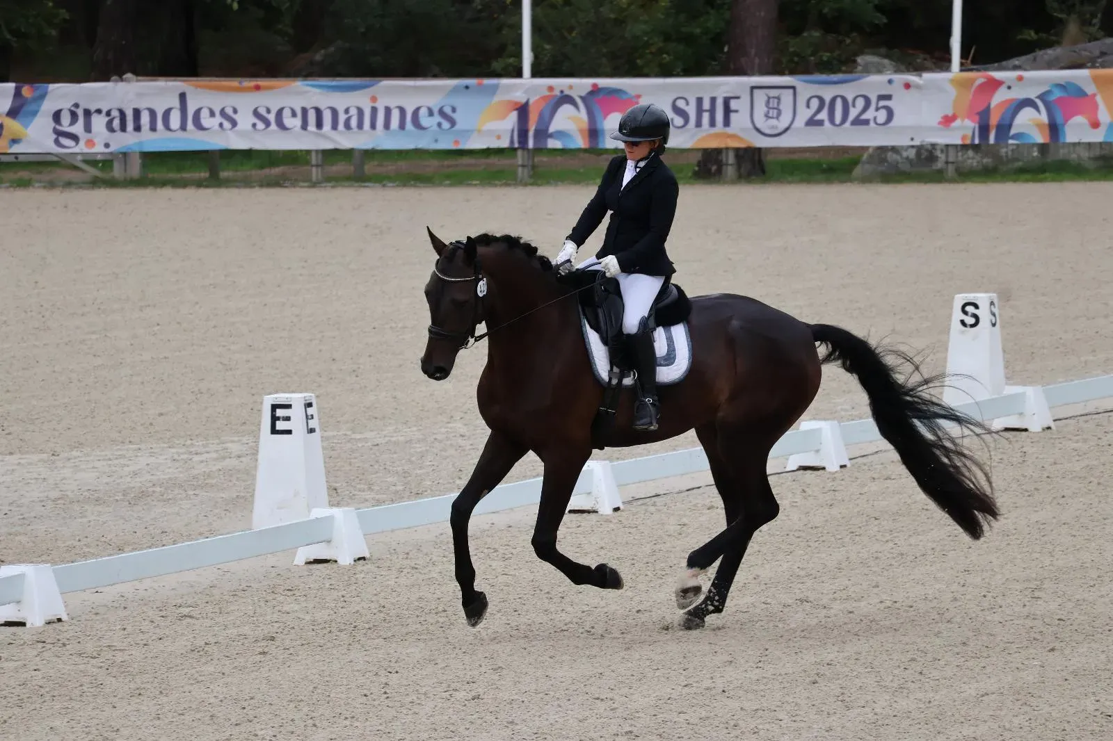 Valorisation dressage 3