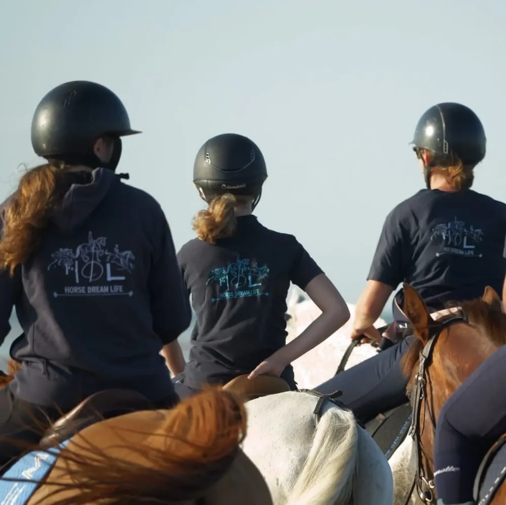 Écurie de propriétaire près de Pithiviers