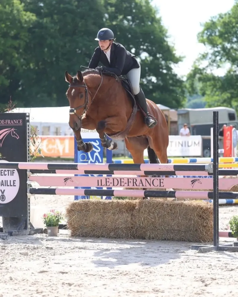 Pension chevaux près de Pithiviers